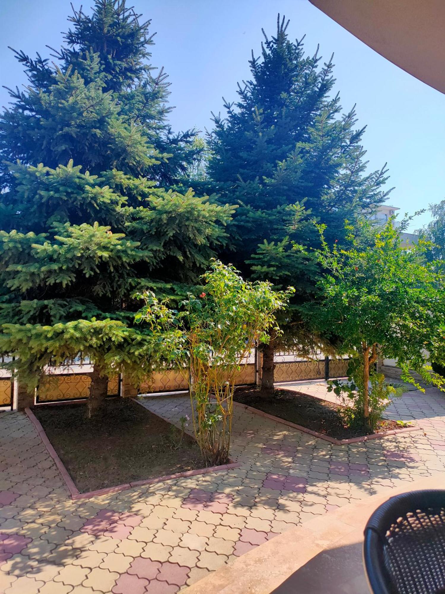Casa Daria Otel Eforie Nord Dış mekan fotoğraf